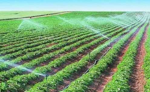 艹b看的网站农田高 效节水灌溉